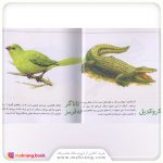 کتاب حیوانات از همه رنگ