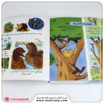 کتاب دایرة المعارف کوچک من درباره‌ی فصل‌ها - تصویر 2